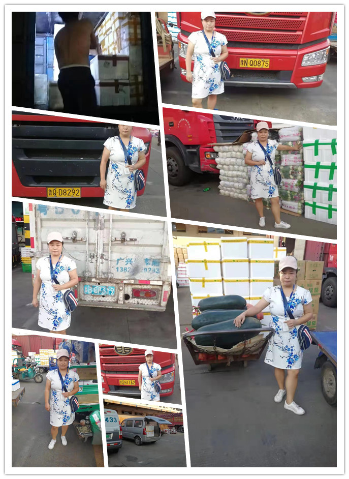 Z6���������ǲ�(�й���)���޹�˾����