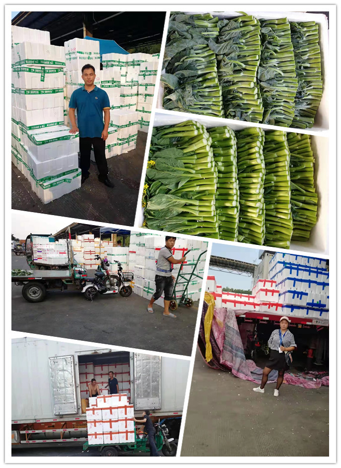 Z6���������ǲ�(�й���)���޹�˾����