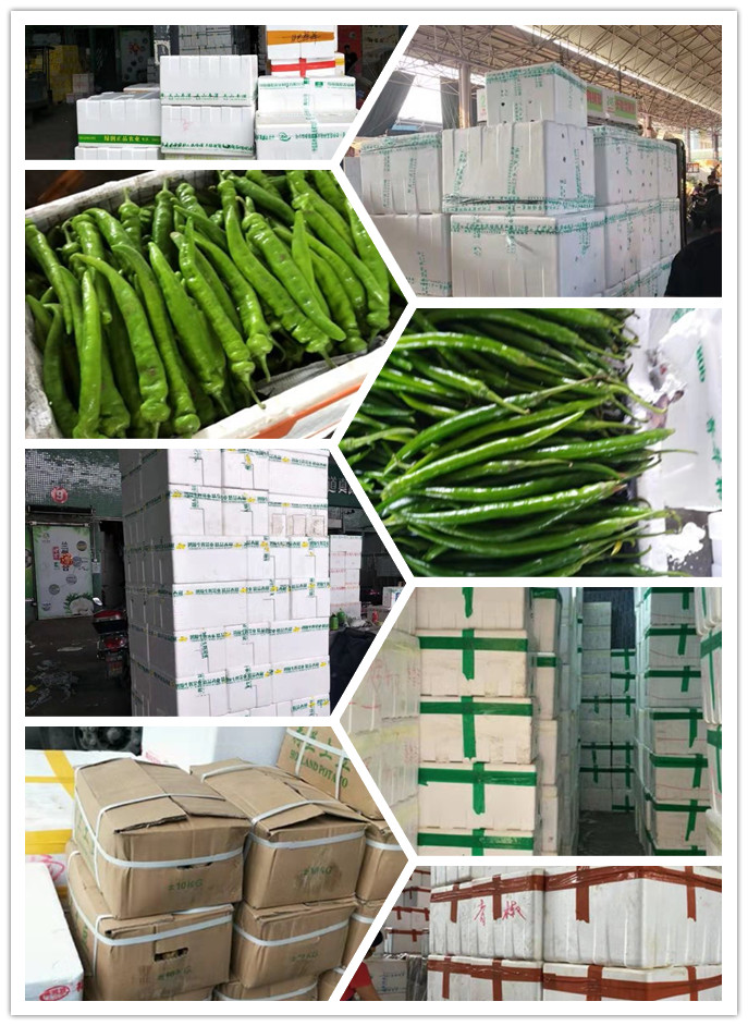 Z6���������ǲ�(�й���)���޹�˾����