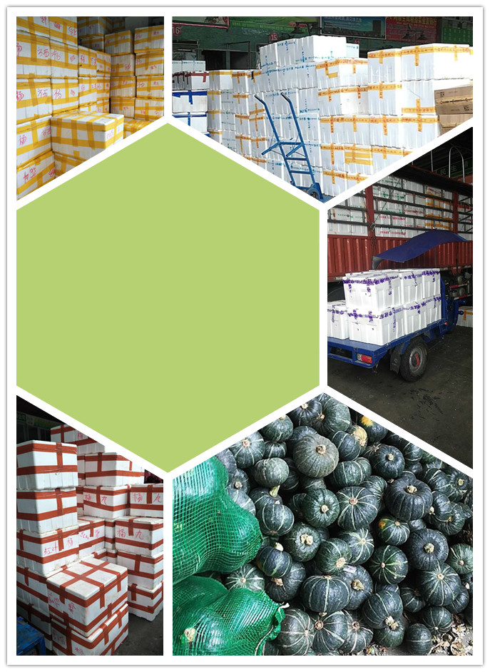 Z6���������ǲ�(�й���)���޹�˾����