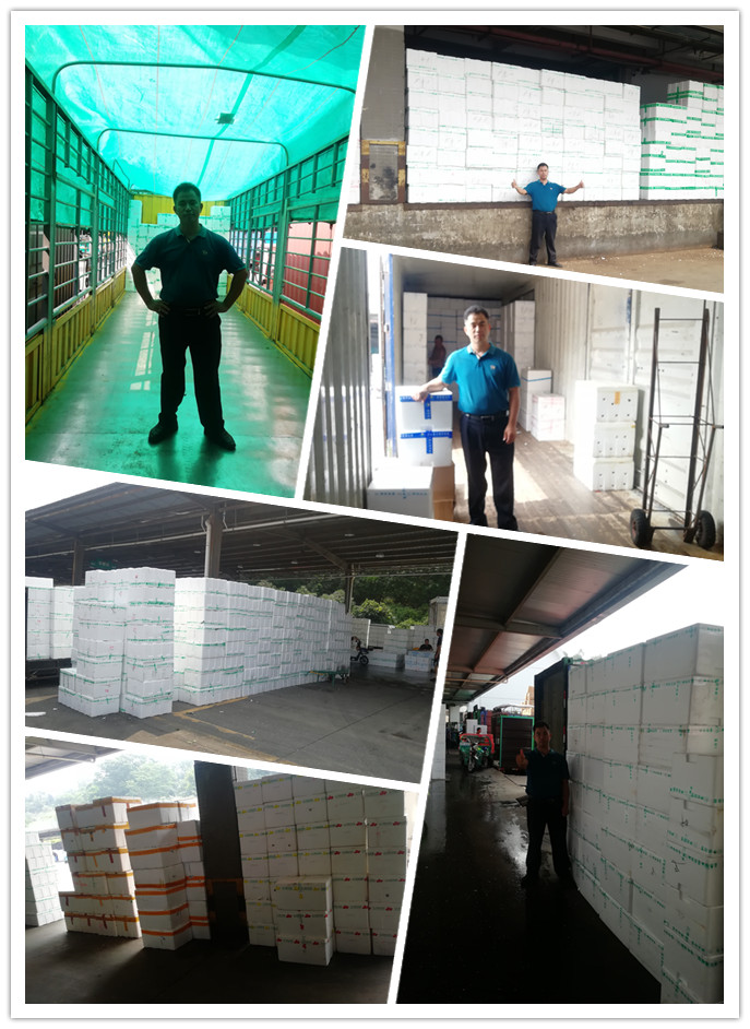 Z6���������ǲ�(�й���)���޹�˾����