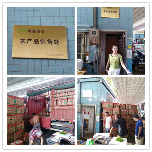 Z6���������ǲ�(�й���)���޹�˾����