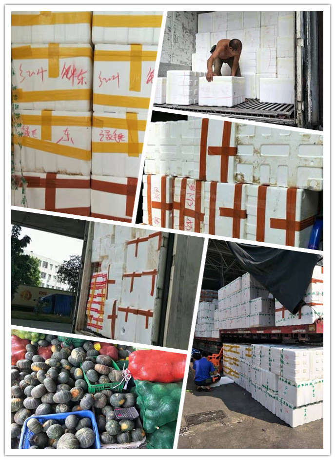 Z6���������ǲ�(�й���)���޹�˾����