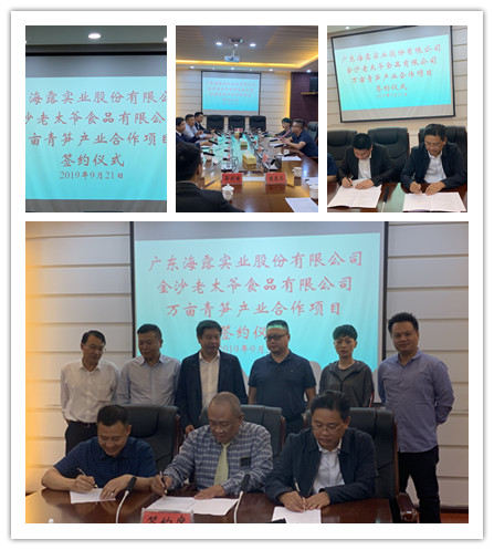 Z6���������ǲ�(�й���)���޹�˾����