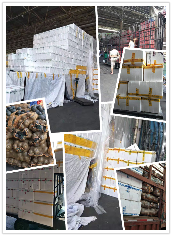 Z6���������ǲ�(�й���)���޹�˾����