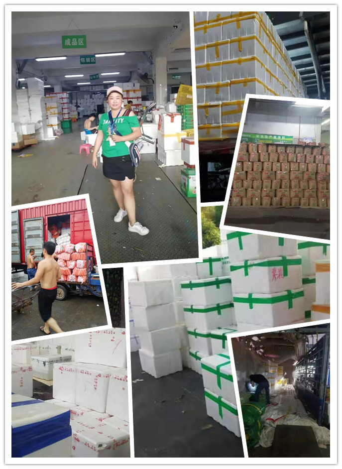 Z6���������ǲ�(�й���)���޹�˾����