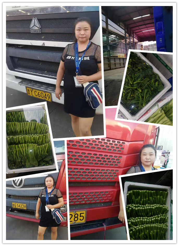 Z6���������ǲ�(�й���)���޹�˾����