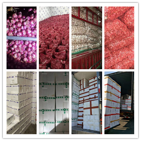 Z6���������ǲ�(�й���)���޹�˾����