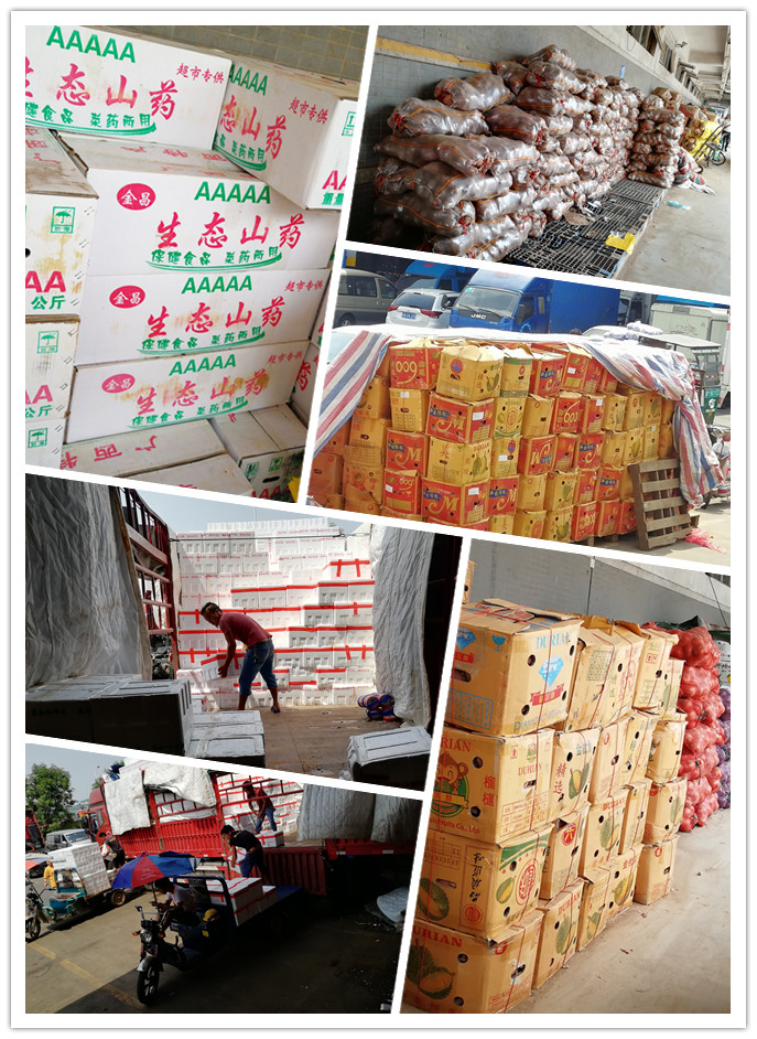 Z6���������ǲ�(�й���)���޹�˾����