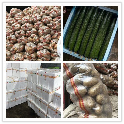 Z6���������ǲ�(�й���)���޹�˾����