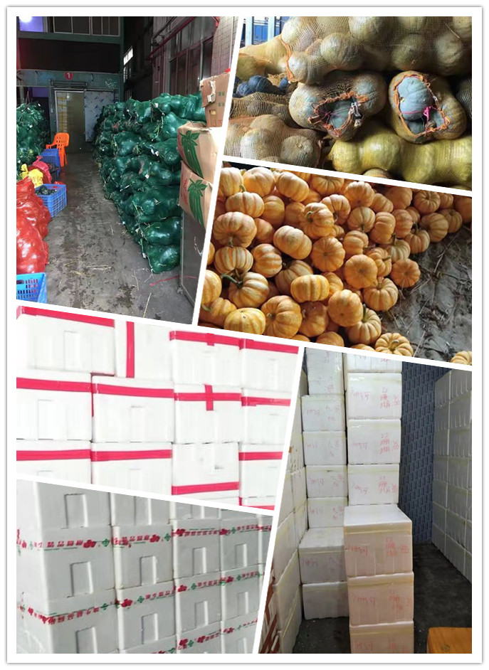 Z6���������ǲ�(�й���)���޹�˾����