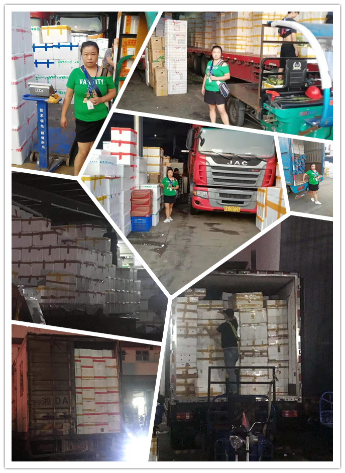 Z6���������ǲ�(�й���)���޹�˾����