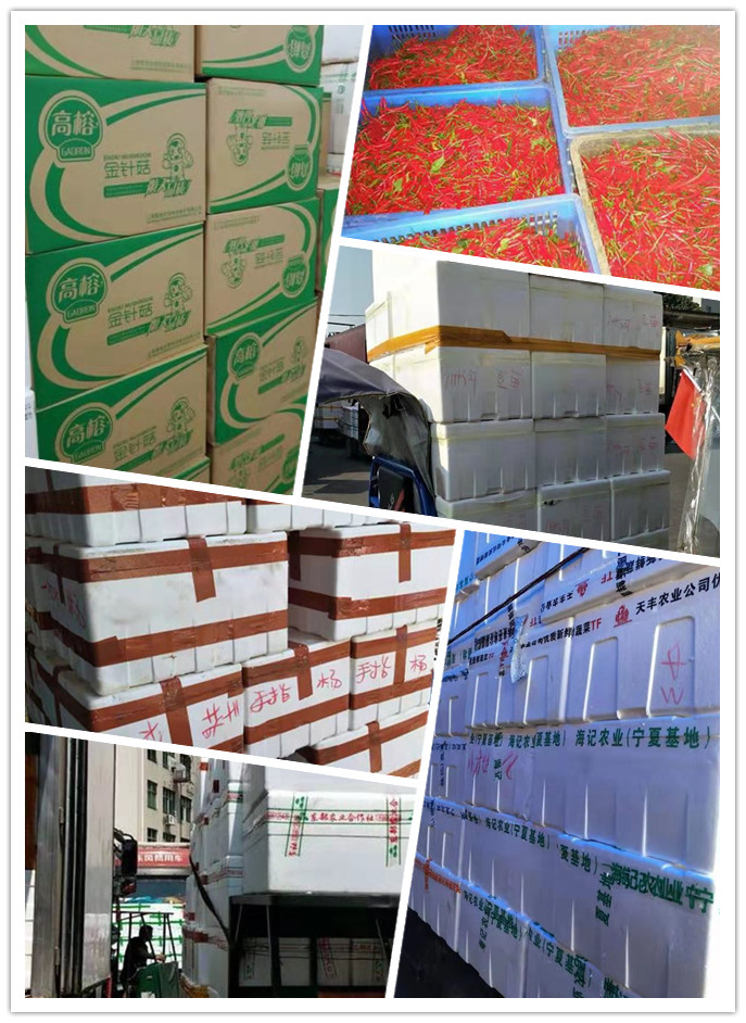 Z6���������ǲ�(�й���)���޹�˾����