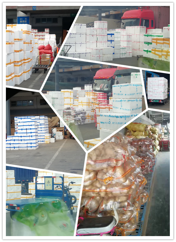 Z6���������ǲ�(�й���)���޹�˾����