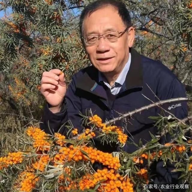 Z6���������ǲ�(�й���)���޹�˾����