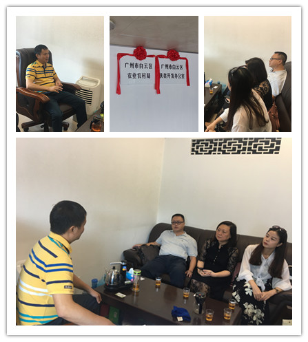 Z6���������ǲ�(�й���)���޹�˾����