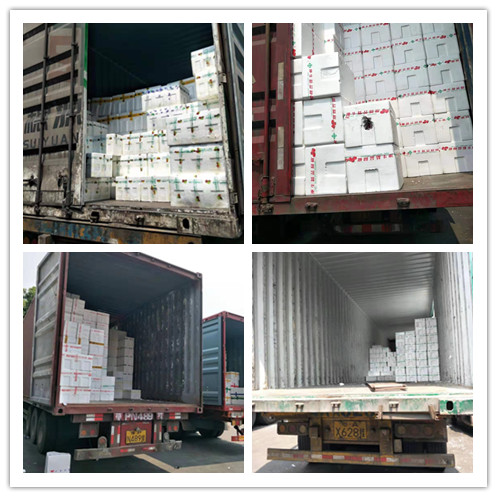 Z6���������ǲ�(�й���)���޹�˾����