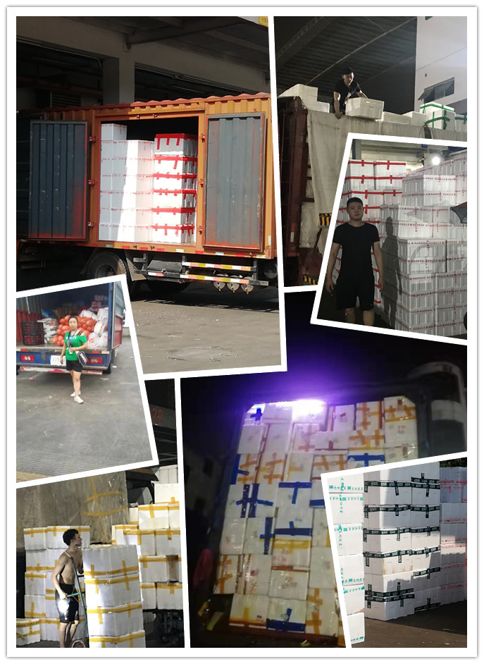 Z6���������ǲ�(�й���)���޹�˾����