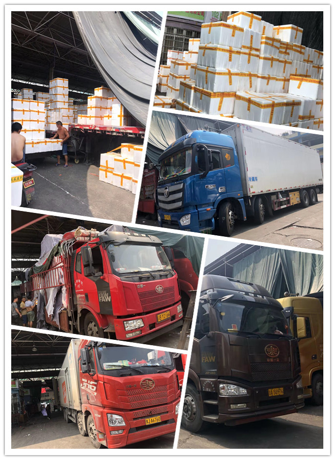 Z6���������ǲ�(�й���)���޹�˾����