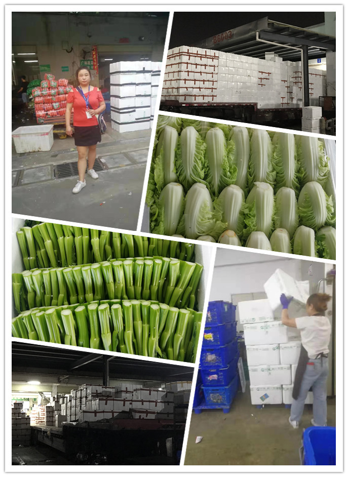 Z6���������ǲ�(�й���)���޹�˾����