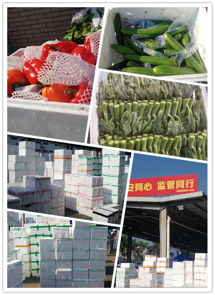 Z6���������ǲ�(�й���)���޹�˾����