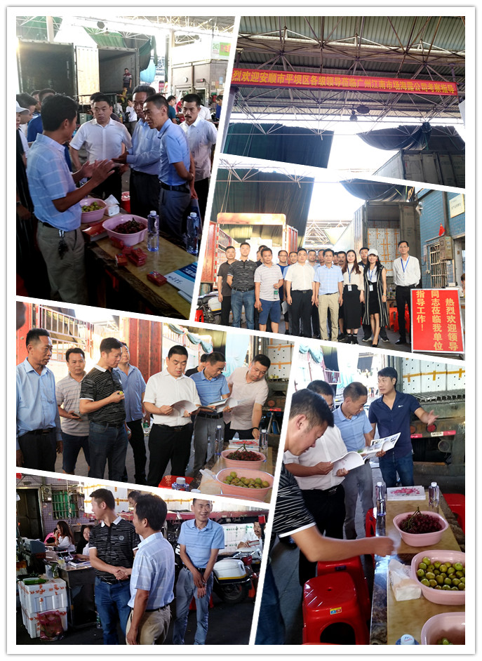 Z6���������ǲ�(�й���)���޹�˾����