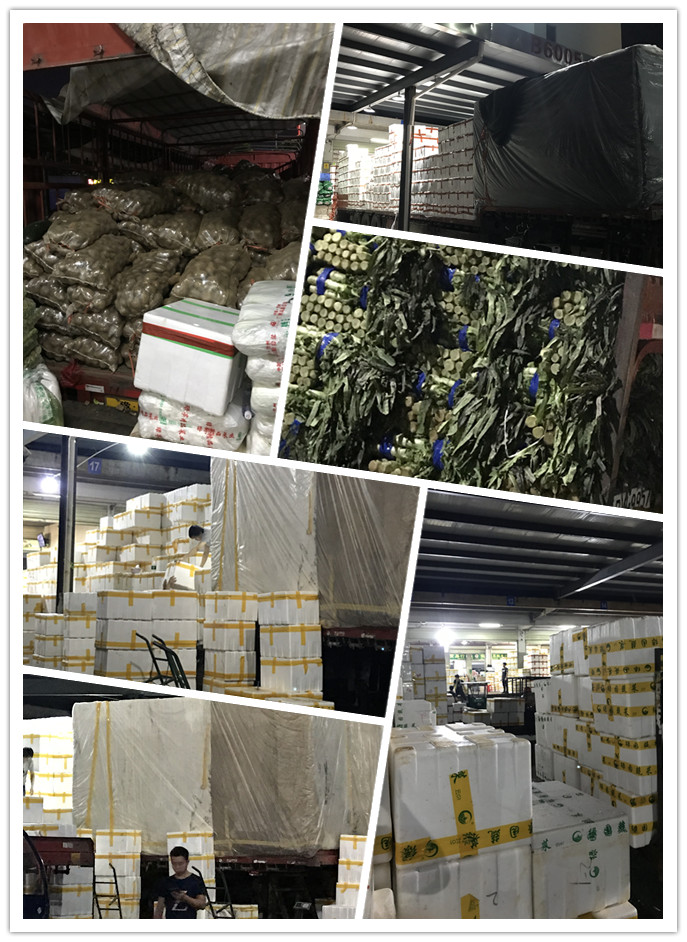 Z6���������ǲ�(�й���)���޹�˾����