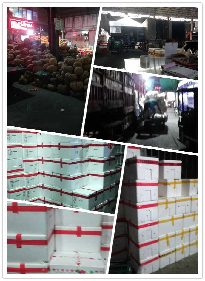 Z6���������ǲ�(�й���)���޹�˾����