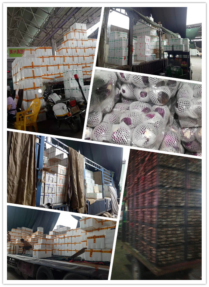 Z6���������ǲ�(�й���)���޹�˾����