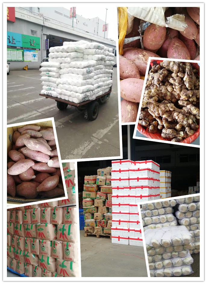 Z6���������ǲ�(�й���)���޹�˾����