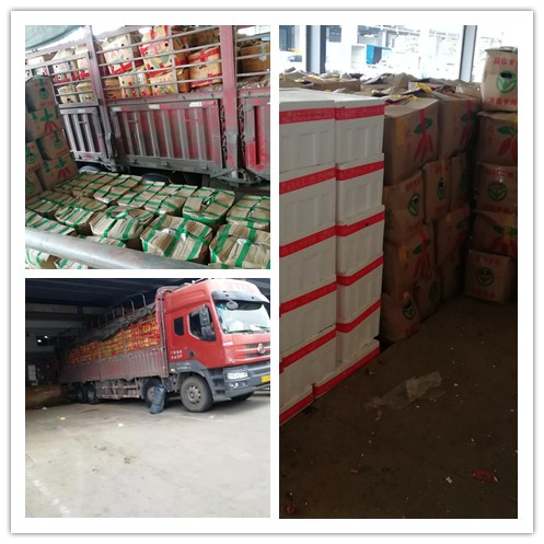 Z6���������ǲ�(�й���)���޹�˾����