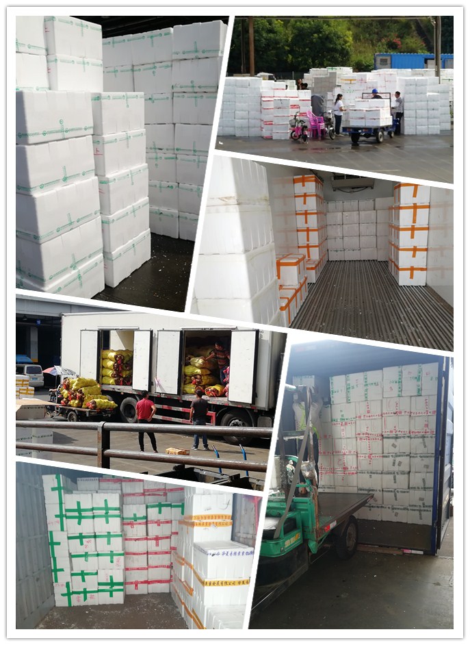 Z6���������ǲ�(�й���)���޹�˾����