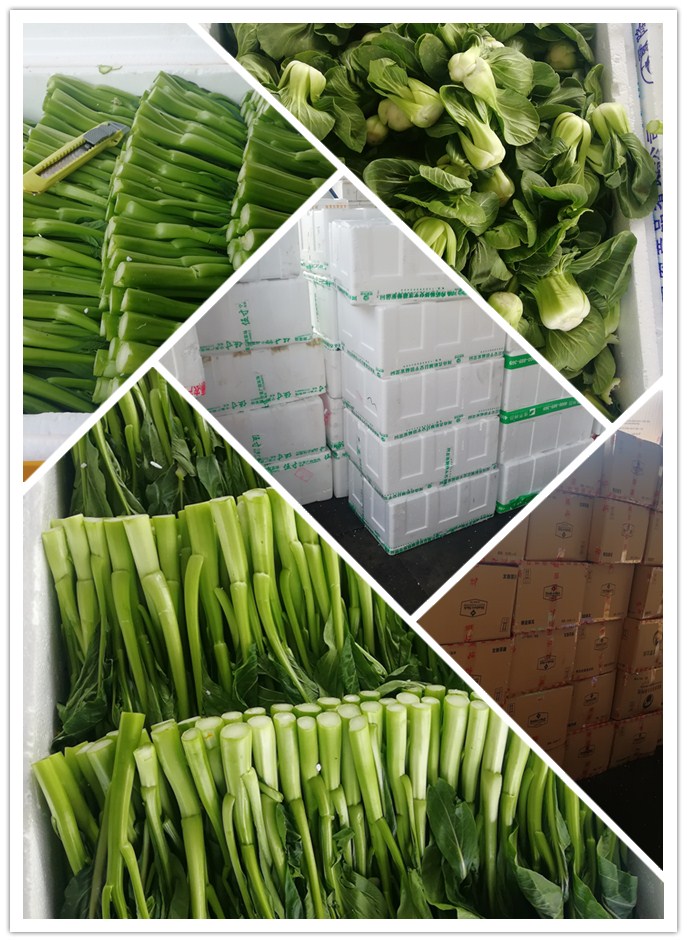 Z6���������ǲ�(�й���)���޹�˾����