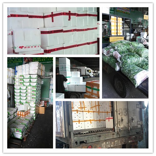 Z6���������ǲ�(�й���)���޹�˾����