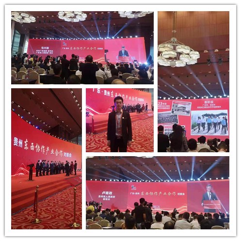 Z6���������ǲ�(�й���)���޹�˾����