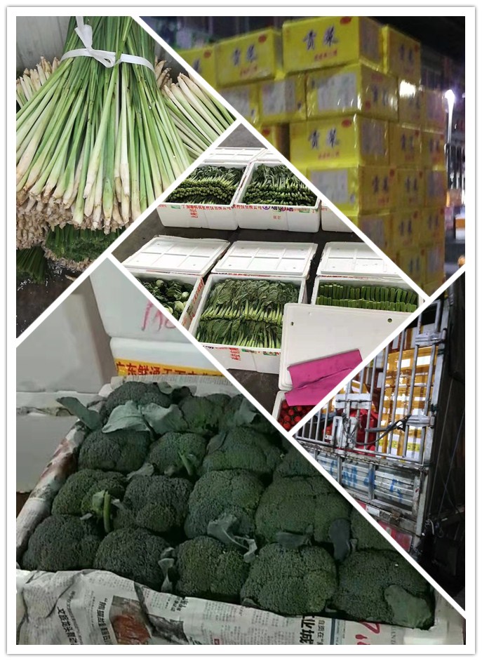 Z6���������ǲ�(�й���)���޹�˾����