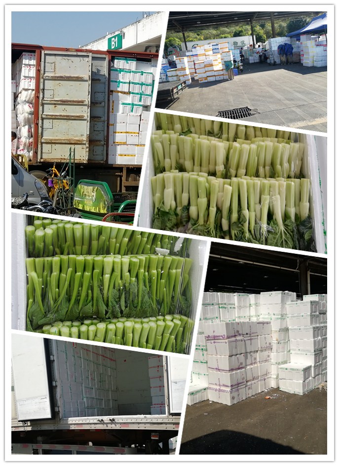 Z6���������ǲ�(�й���)���޹�˾����