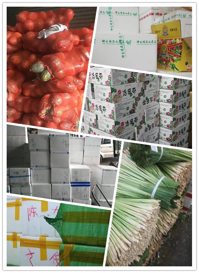 Z6���������ǲ�(�й���)���޹�˾����