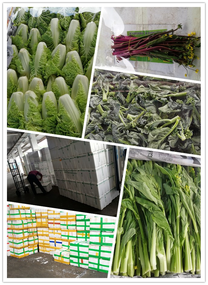 Z6���������ǲ�(�й���)���޹�˾����