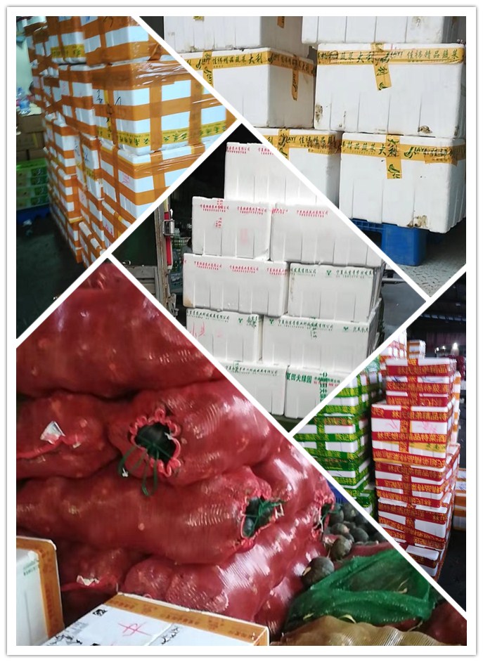 Z6���������ǲ�(�й���)���޹�˾����