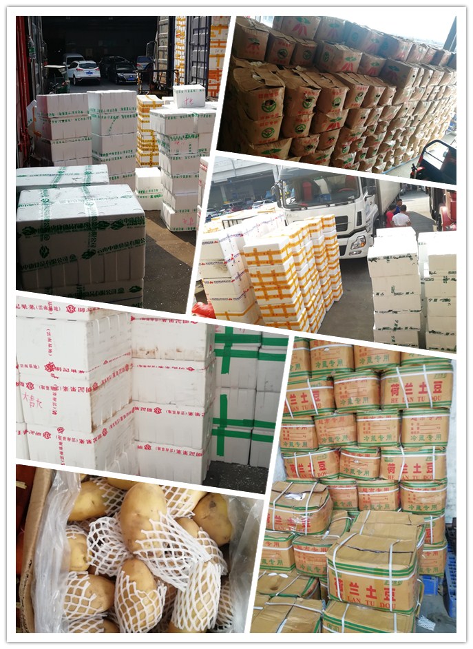 Z6���������ǲ�(�й���)���޹�˾����