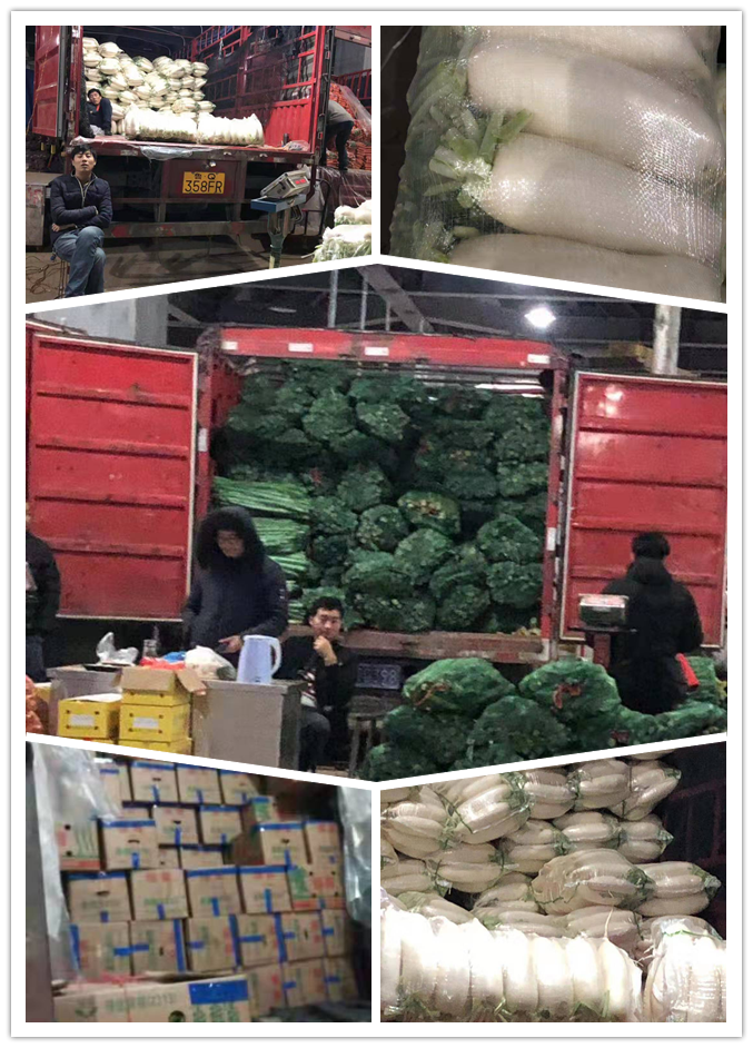 Z6���������ǲ�(�й���)���޹�˾����