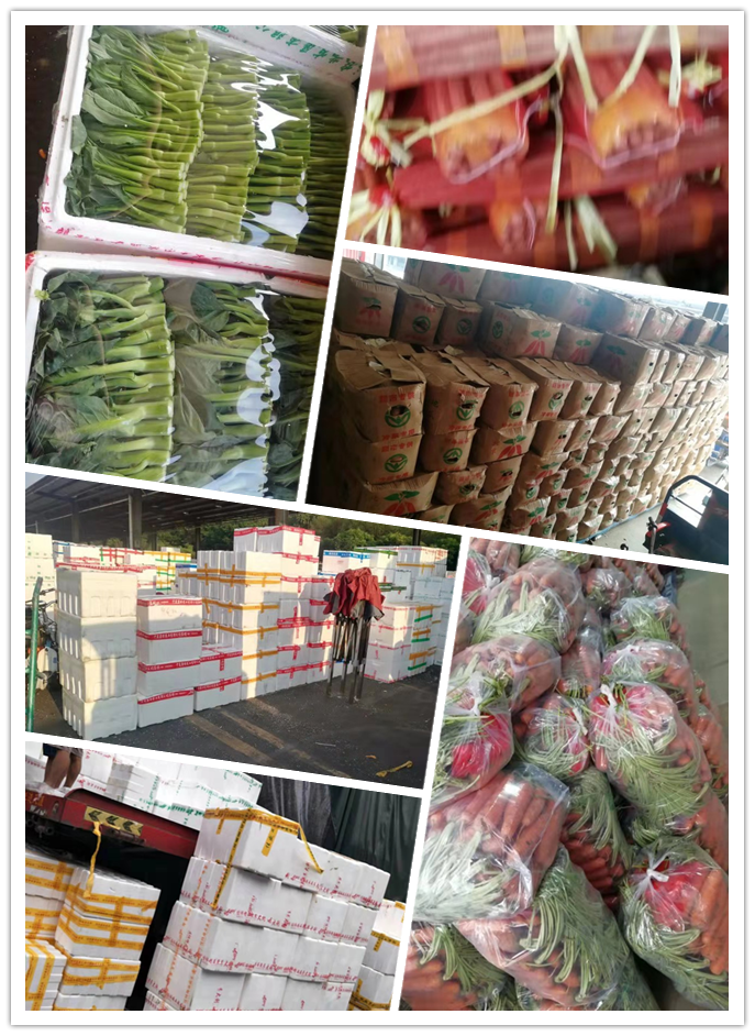 Z6���������ǲ�(�й���)���޹�˾����