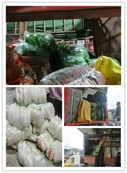 Z6���������ǲ�(�й���)���޹�˾����