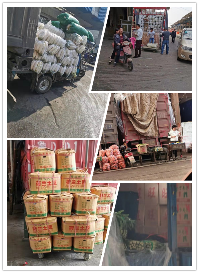 Z6���������ǲ�(�й���)���޹�˾����