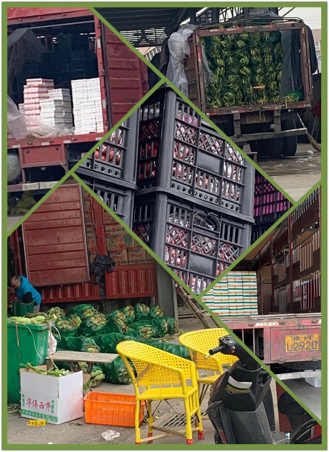 Z6���������ǲ�(�й���)���޹�˾����