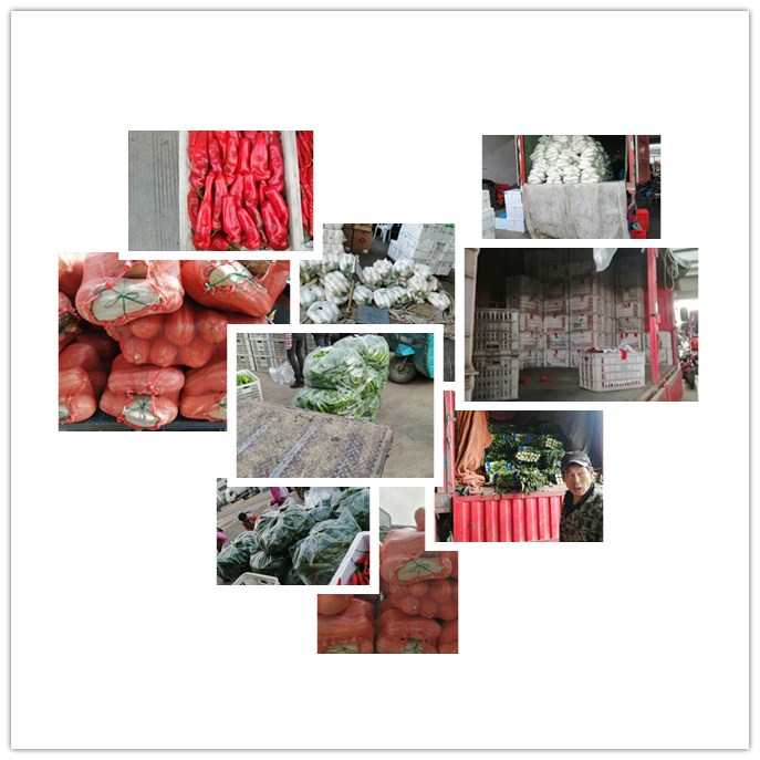 Z6���������ǲ�(�й���)���޹�˾����