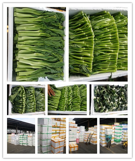 Z6���������ǲ�(�й���)���޹�˾����