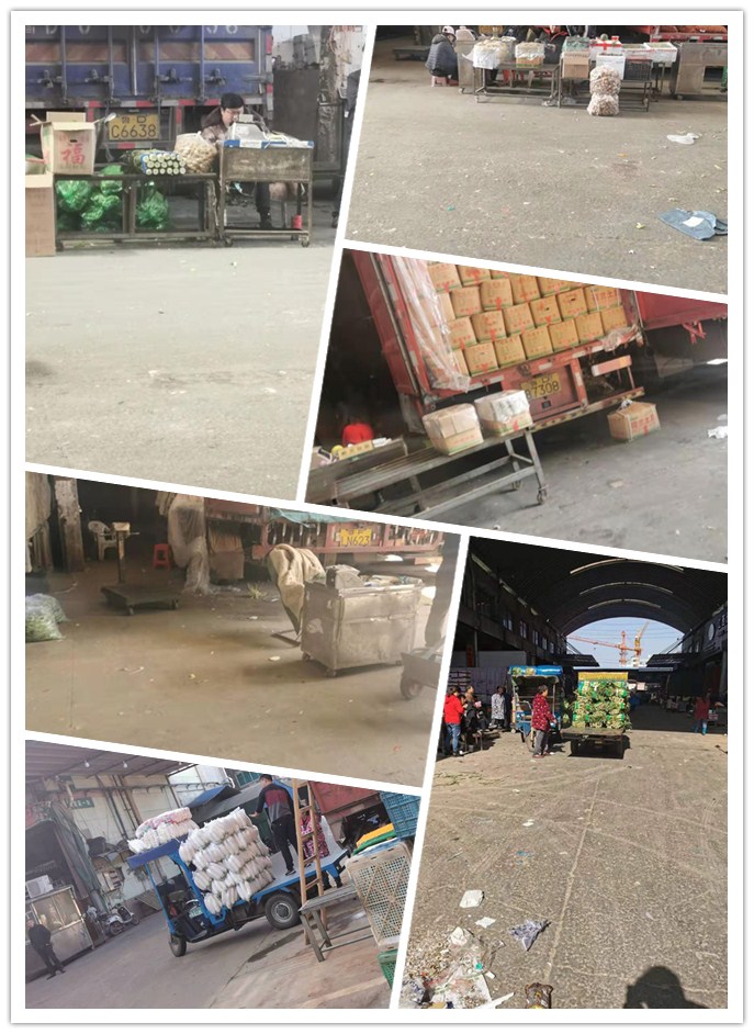 Z6���������ǲ�(�й���)���޹�˾����