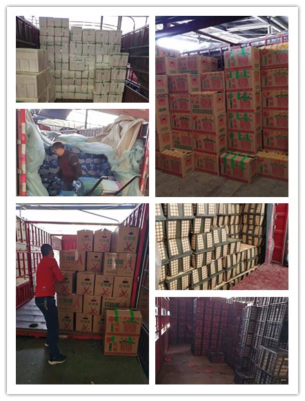 Z6���������ǲ�(�й���)���޹�˾����